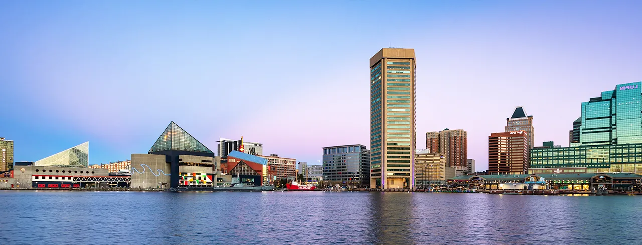 Gartner Security and Risk Management