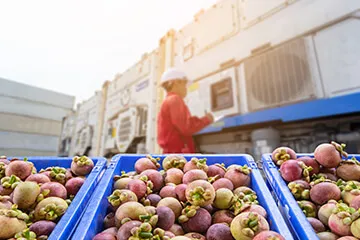 Reynolds case study thumbnail