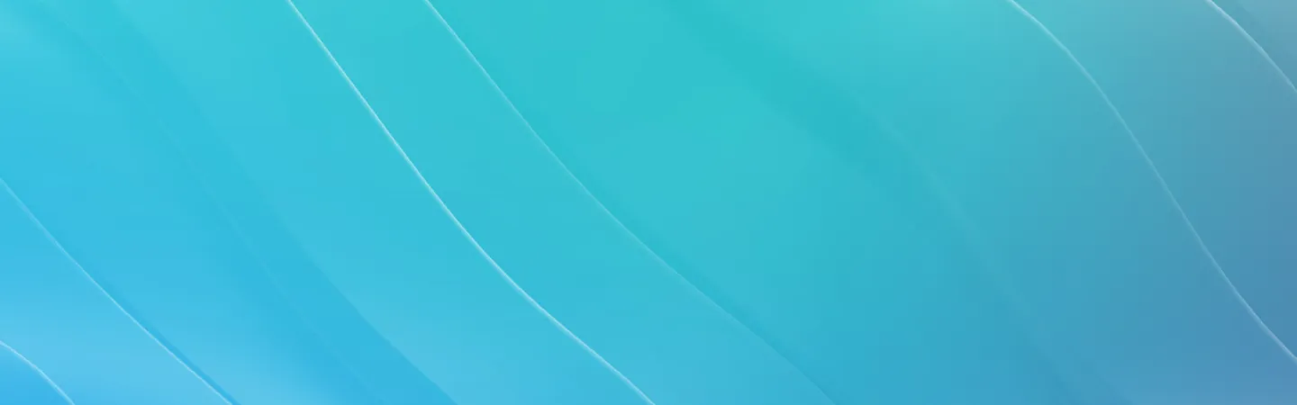 HCL Software Software License Agreements