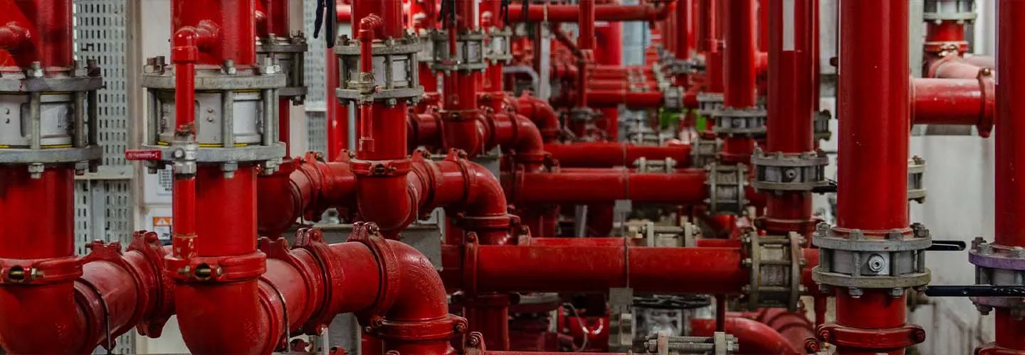 Case Study - HCL Domino -Firepro Systems - Meeting