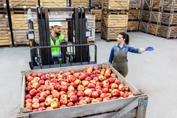 HCL Bigfix Secures Extensive IT Infrastructure and Provides Peace of Mind for Reynolds