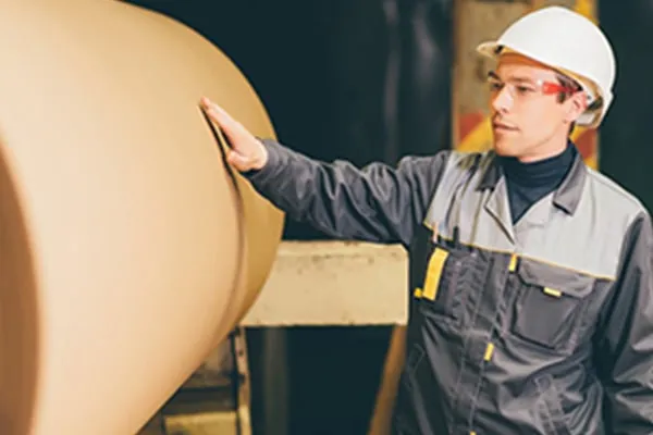 BioPappel continues to use Domino 