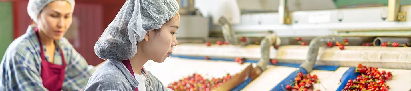 HCL BigFix - Reynolds - Case Study - Banner 1