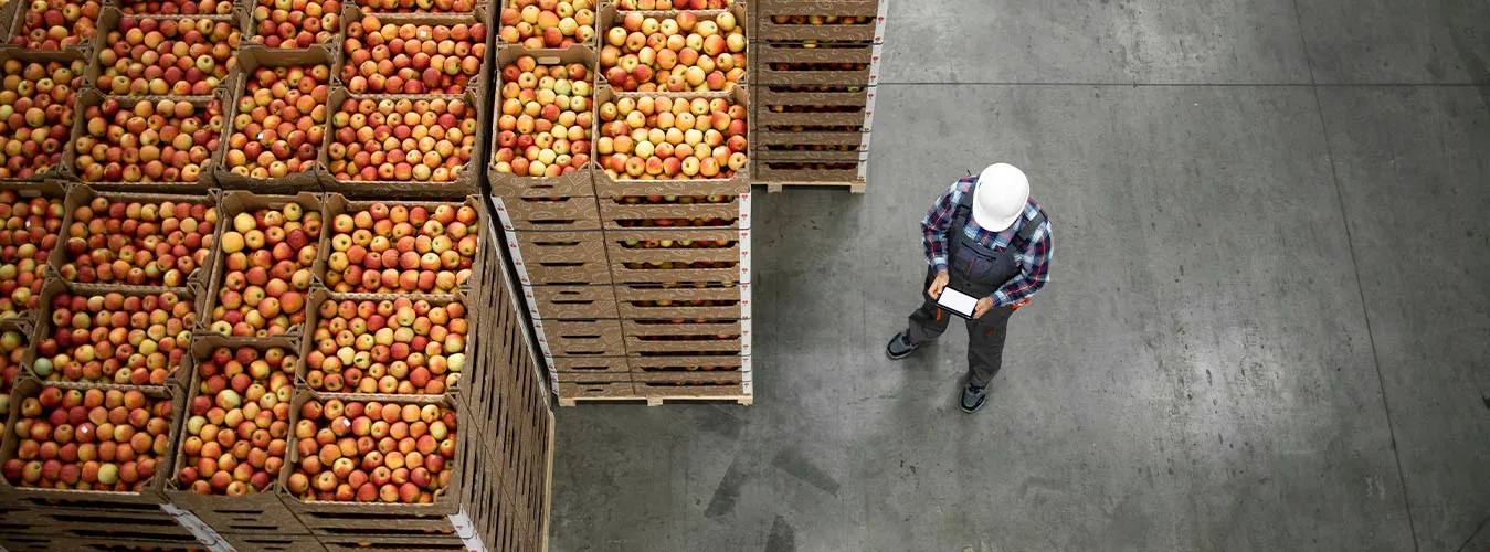 HCL BigFix - Reynolds - Case Study - Banner 2